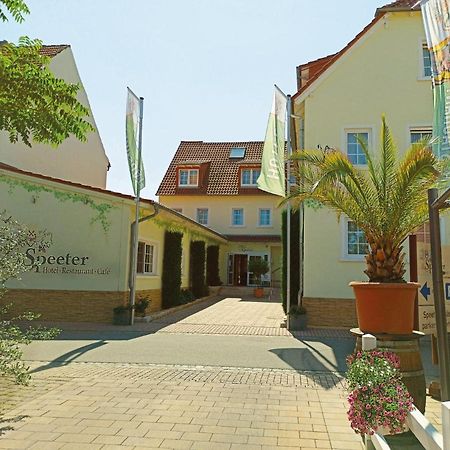 Hotel Speeter Weisenheim am Berg Ngoại thất bức ảnh